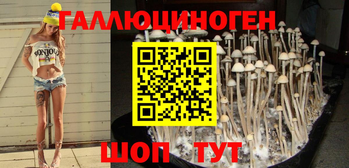 Нефтеюганск  Галлюциногенные грибы мицелий  где продают   Псилоцибиновые грибы мухоморы  Вход с VPN 